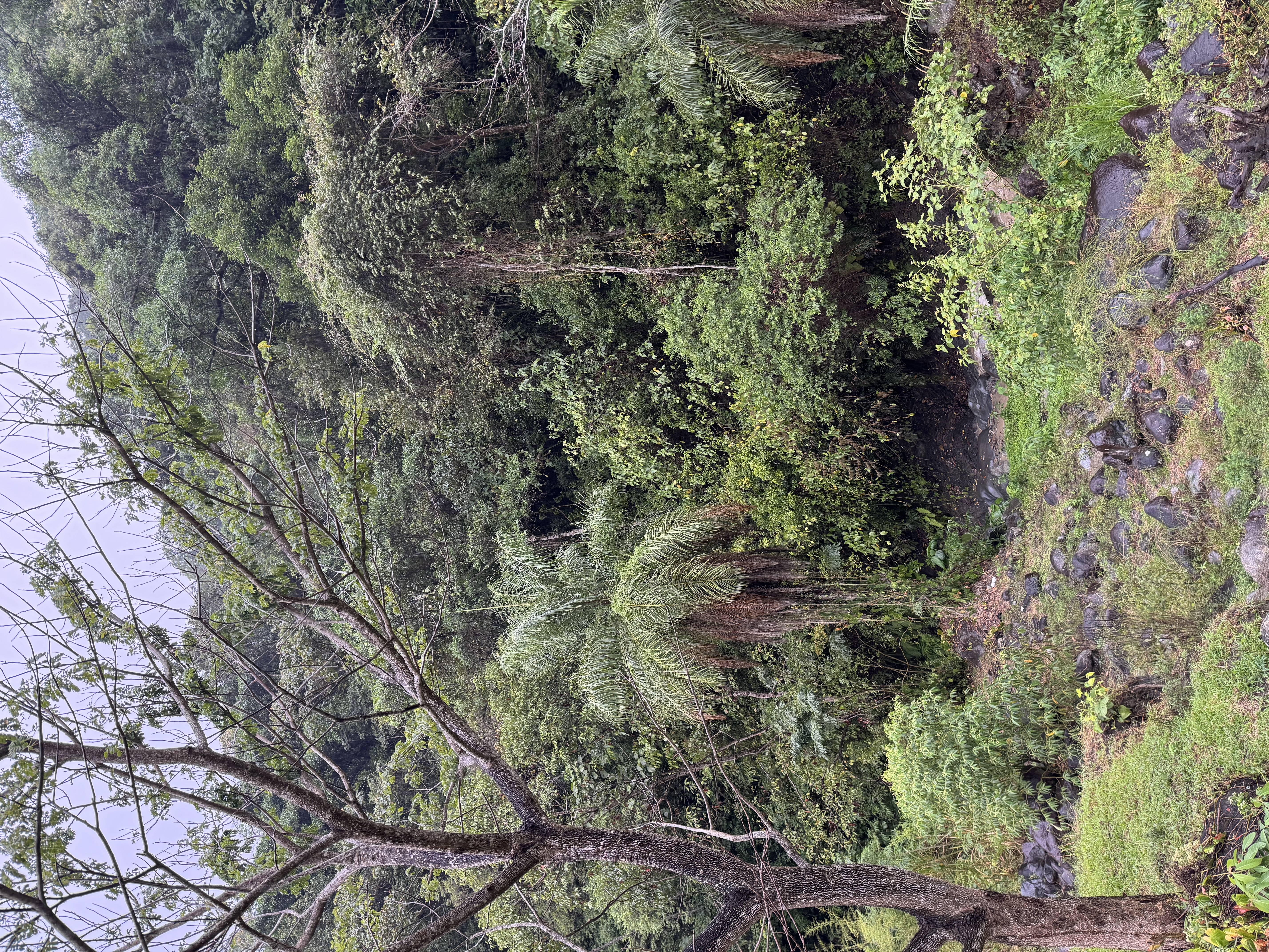 Paisaje sereno con montañas y lago